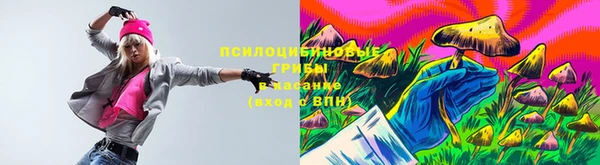 мдма Гусиноозёрск