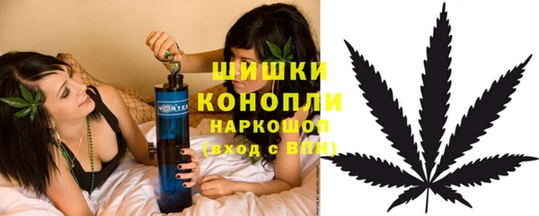 хмурый Гусев