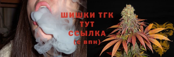молекула духа Дмитриев