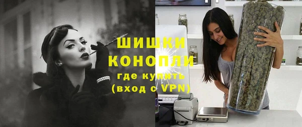 хмурый Гусев