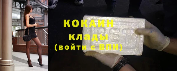 хмурый Гусев