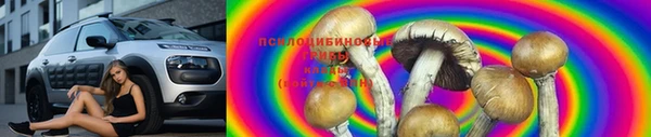 СК Дмитровск