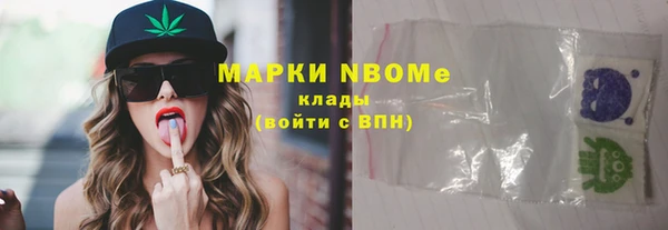хмурый Гусев