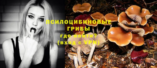 гашишное масло Гусь-Хрустальный