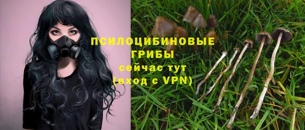 мдма Гусиноозёрск