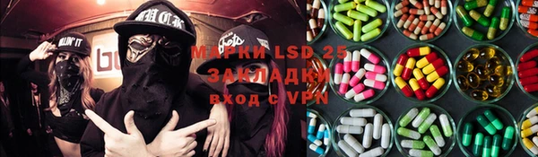 хмурый Гусев