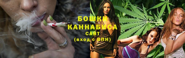 хмурый Гусев