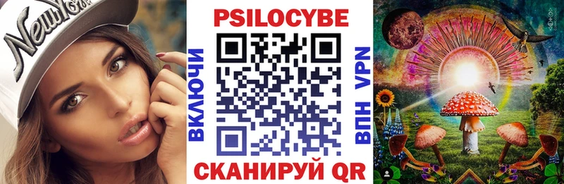 Купить закладки  Осташков  Галлюциногенные грибы Psilocybe 